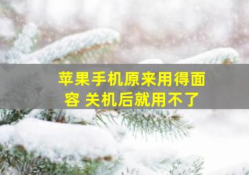 苹果手机原来用得面容 关机后就用不了